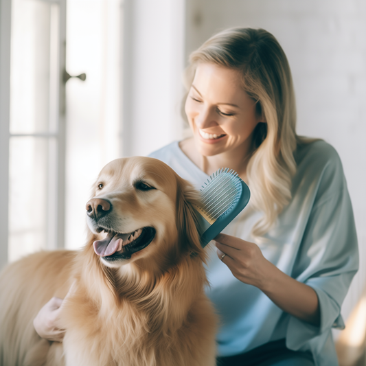 Pet Care